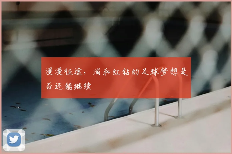 漫漫征途,浦和红钻的足球梦想是否还能继续