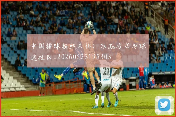 中国排球粉丝文化：助威方式与球迷社区_20260523195303